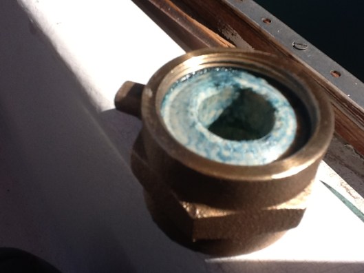 Stuffed as best as possible