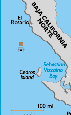 573B589A-1664-4986-95FC-741E9F61A7F4